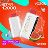 Vozol Star 12000 Puffs Disposable Vape in Dubai