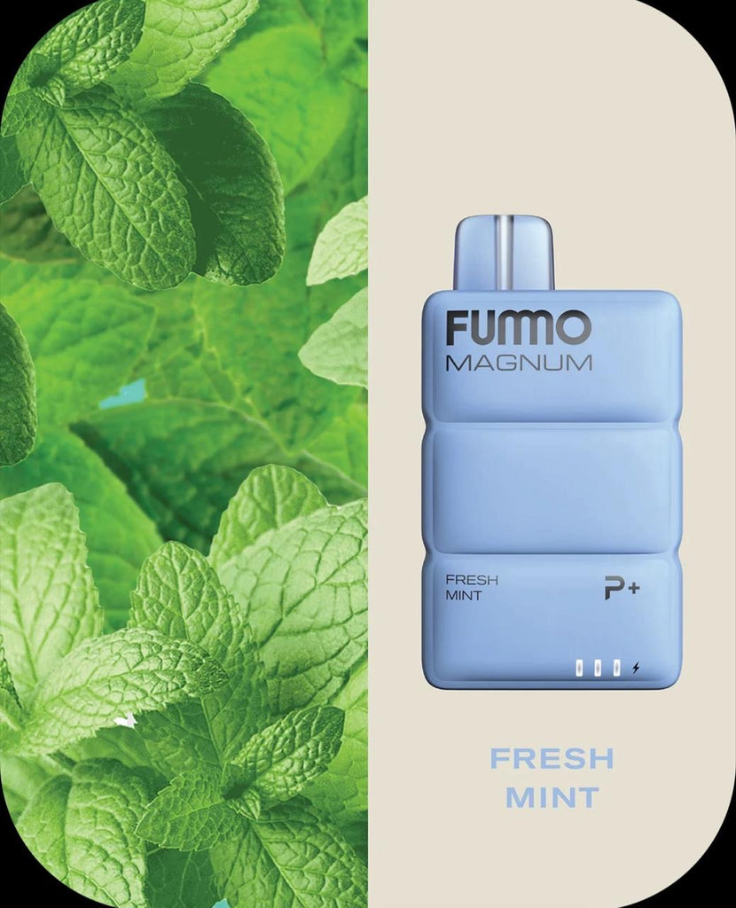 FUMMO Magnum 8000 Puffs Disposable Vape