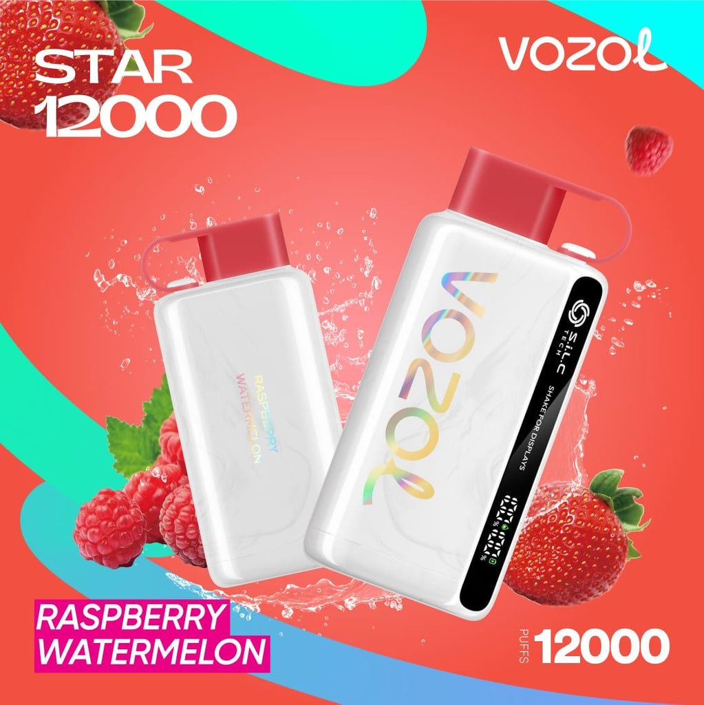 Vozol Star 12000 Puffs Disposable Vape in Dubai