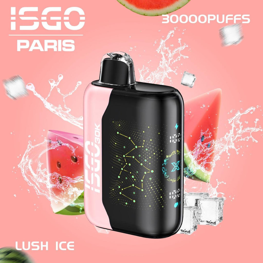 ISGO Paris X 30000 Puffs Disposable Vape