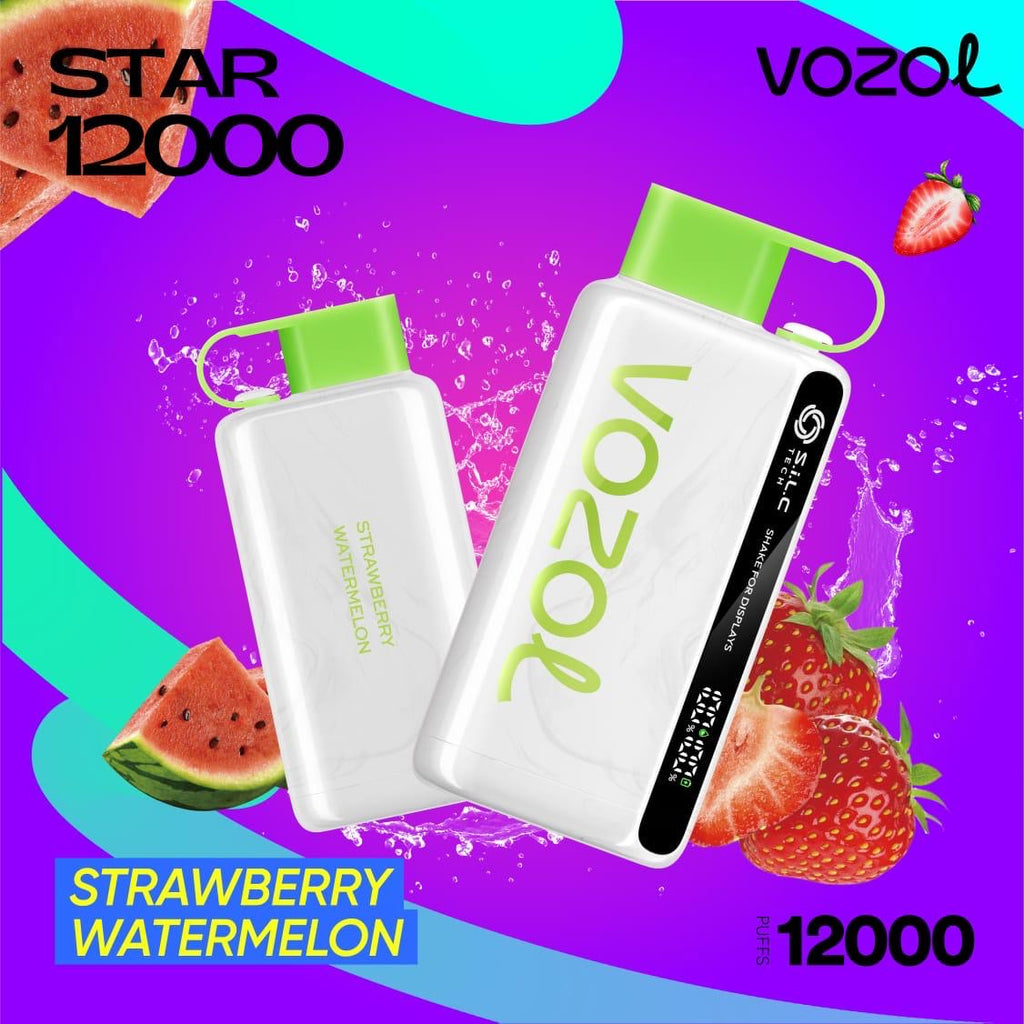 Vozol Star 12000 Puffs Disposable Vape in Dubai