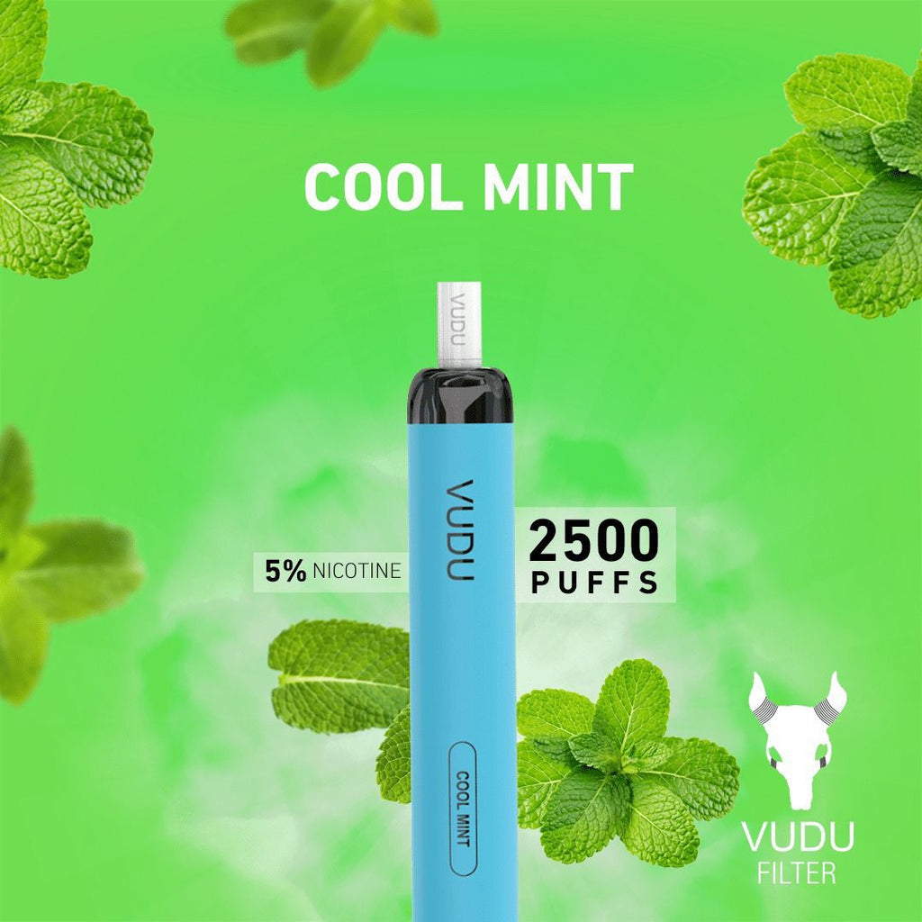 Indulge in 2500 Puffs: VUDU FILTER at Vape 24 - Best Prices in Dubai UAEDISPOSABLE VAPE,vudu vape